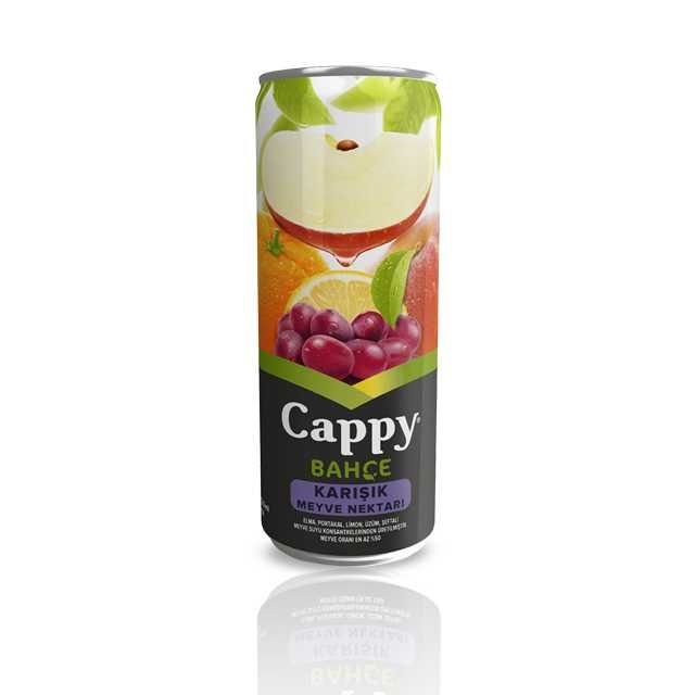 Cappy (33 cl.)