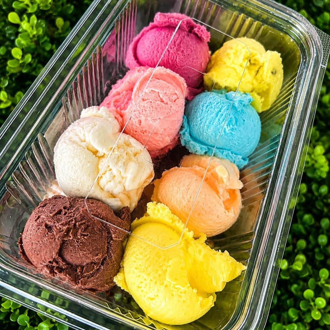 Karışık Dondurma 500 Gr