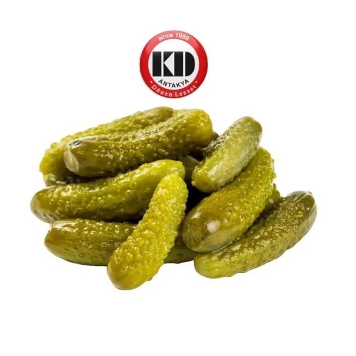 Salatalık Turşusu