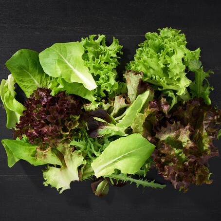 Klasik Salata