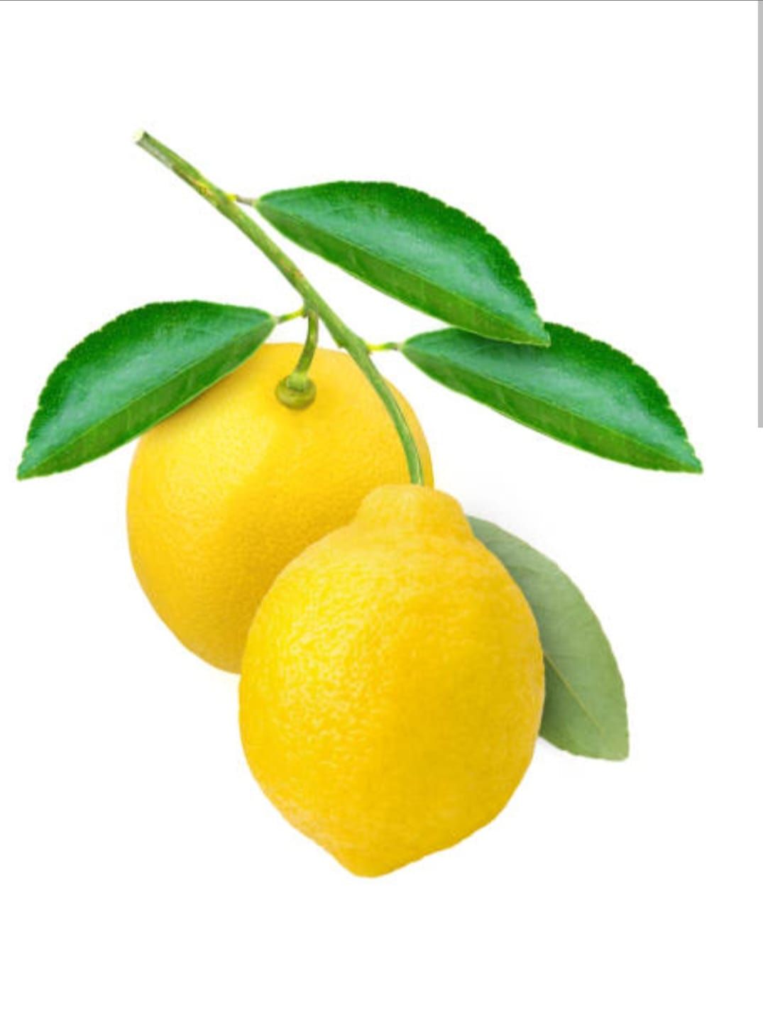 Limon (Tane)