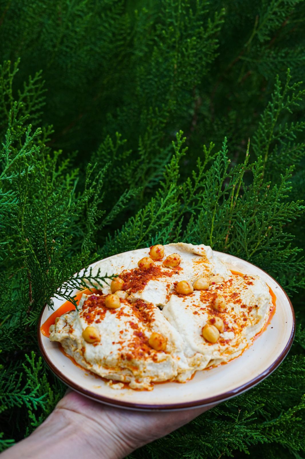 Kereviz Şayan (500 gr.)