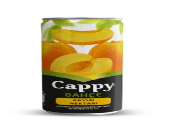 Cappy Kayısı(250 cc)