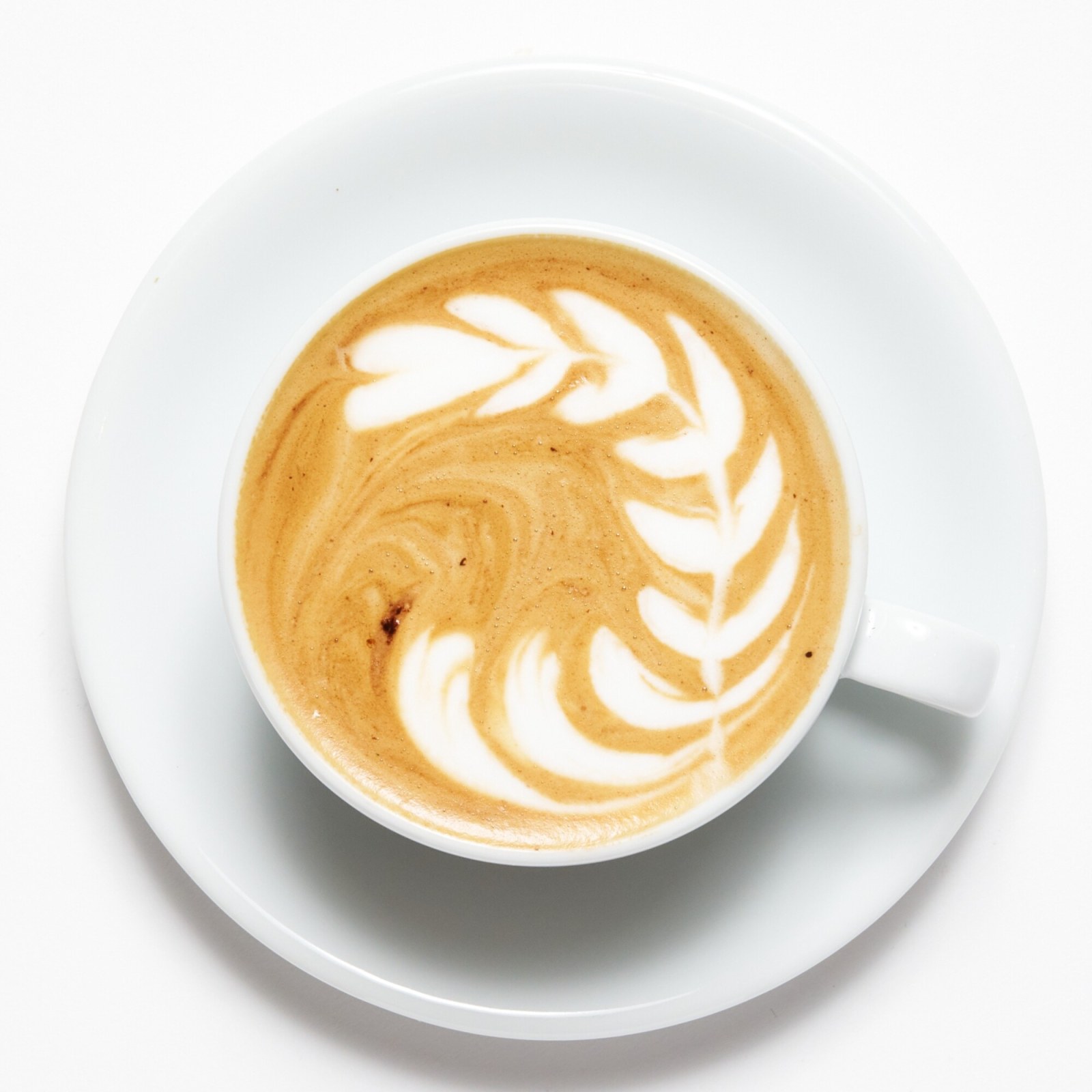 Zebra Mocha