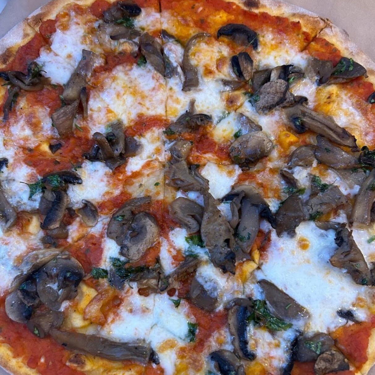 Funghi Pizza (Taş Fırın) (Orta Boy)