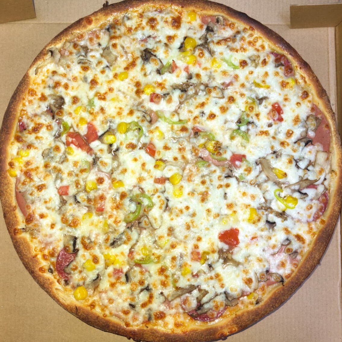 Karışık Pizza (Orta)