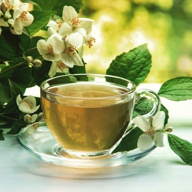 Bitki Çayları Jasmine Tea