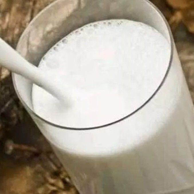 Ayran 170 cl.