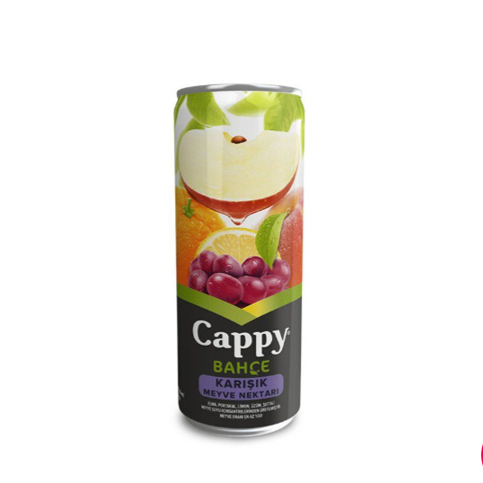 Cappy (33 cl.)