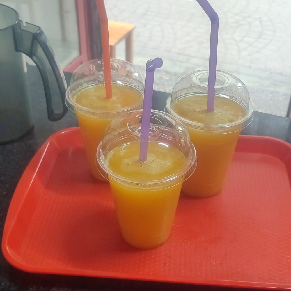 Taze Portakal Suyu (350 ml)