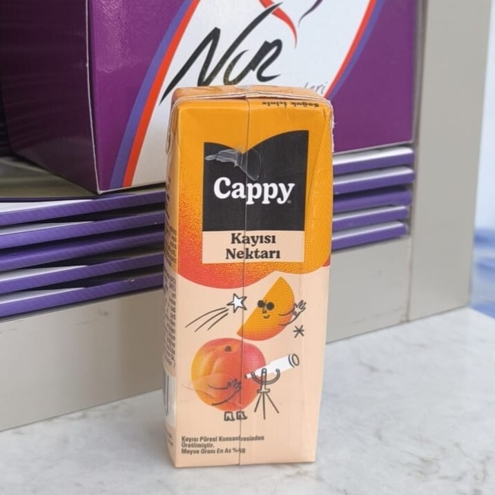 Kayısı Meyve Suyu (200 ml)
