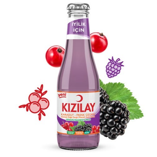 Meyveli Soda Karadut & Fenk Aromalı (200 ml)