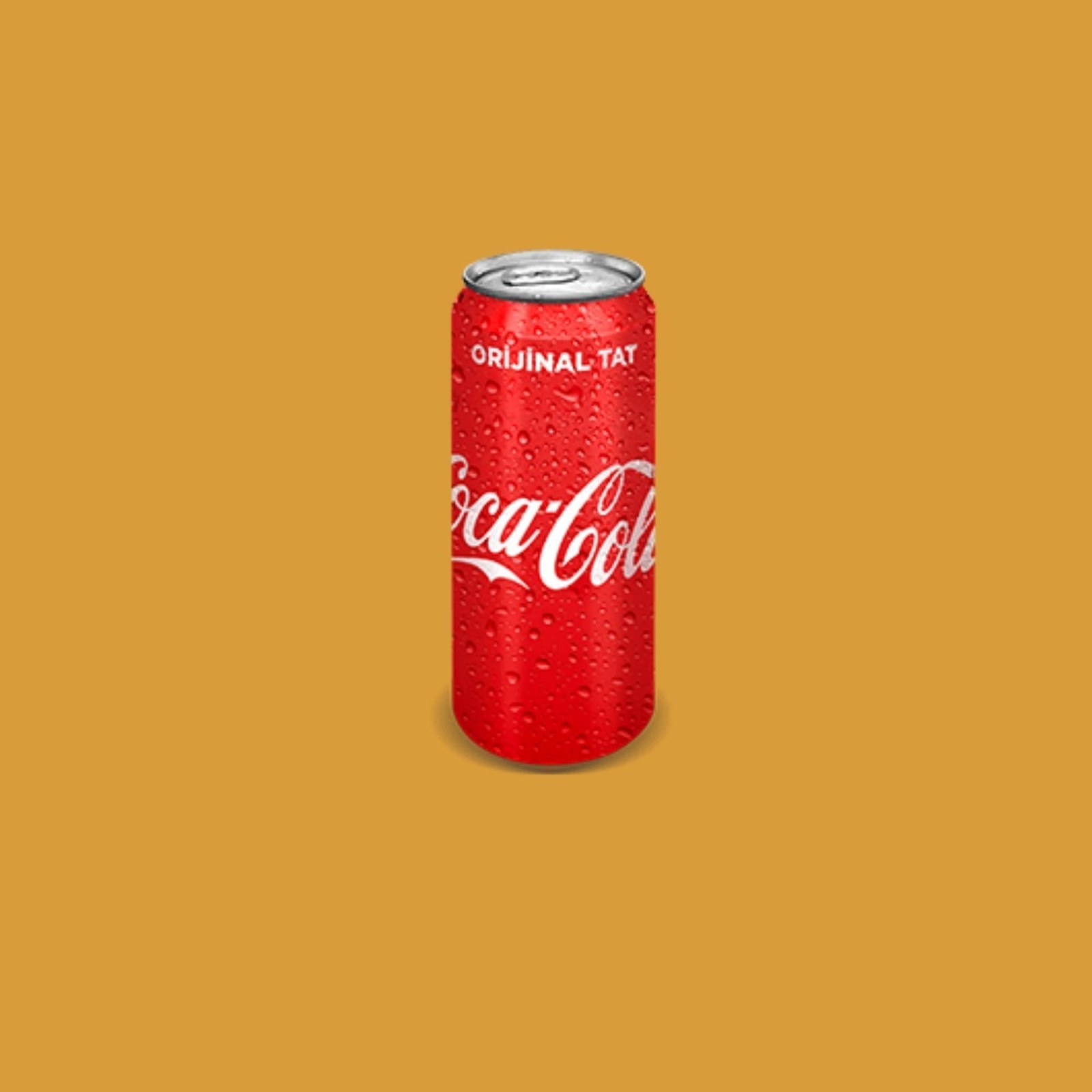 Coca-Cola (33 Cl.)