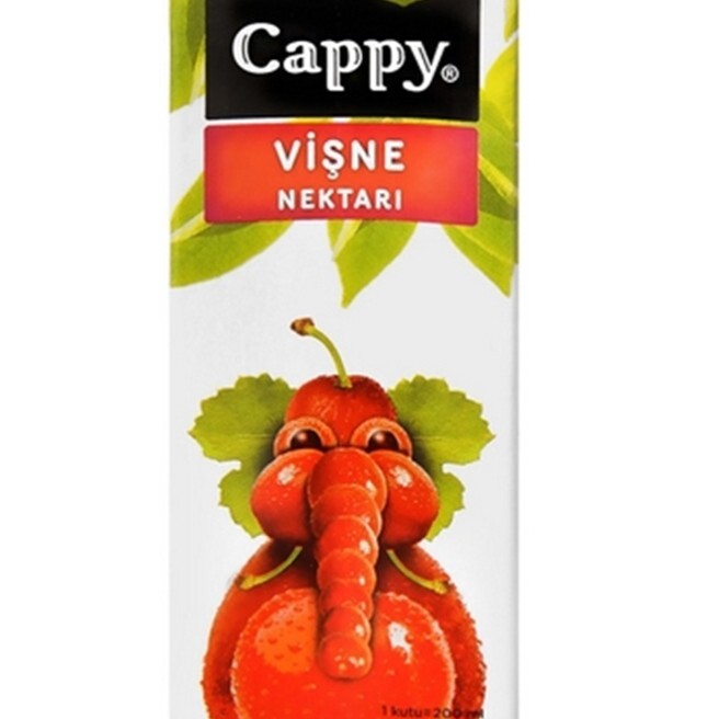 cappy vişne Suyu 200ml