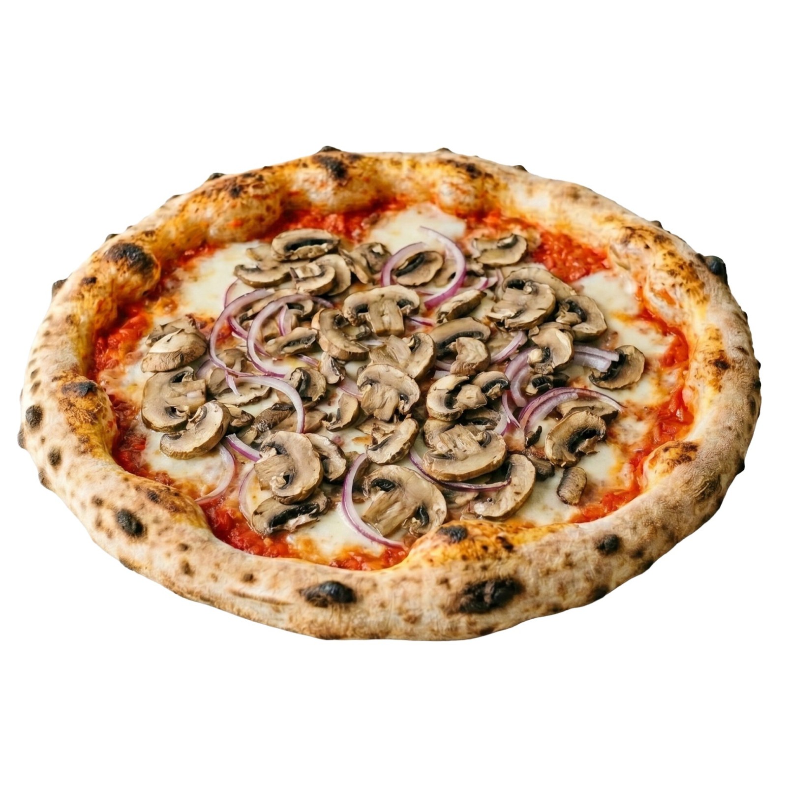 Mantar Pizza