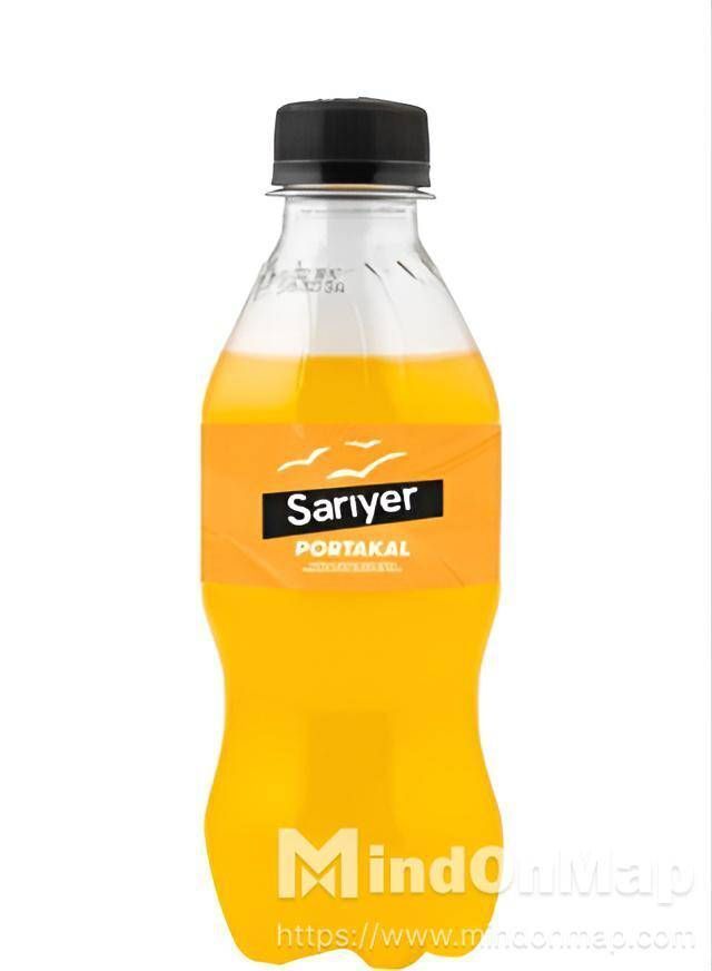 Sarıyer Portakal Gazoz (330 cl.)