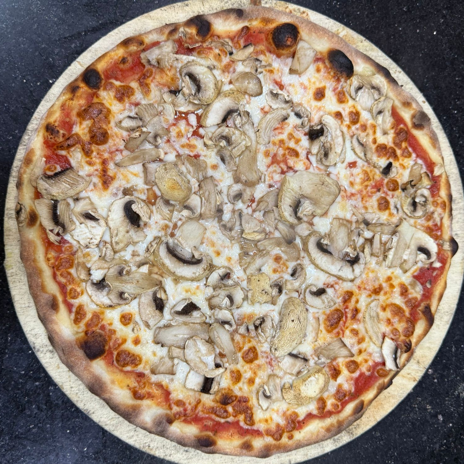 Fungi Pizza (Büyük)
