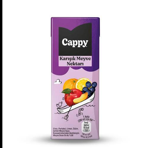 Cappy Karışık ( 200 ml )