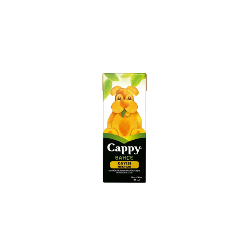 Cappy Kayısı (20 cl.)