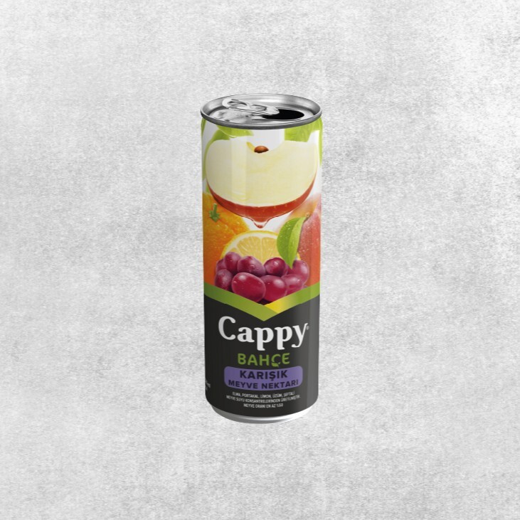 Cappy Meyve Suyu Karışık (330ml)