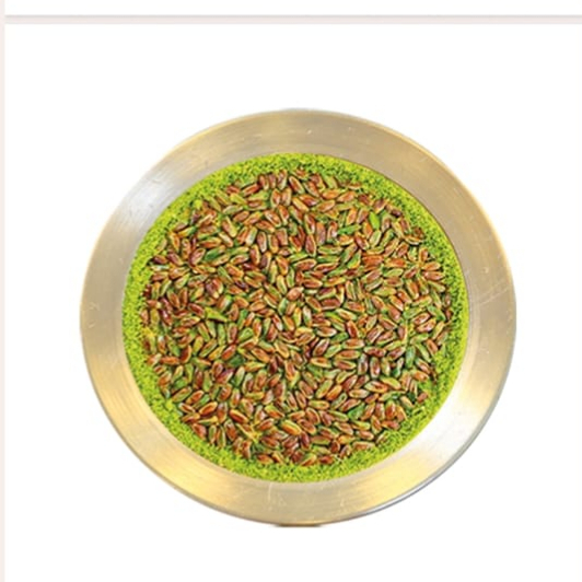 Fıstıkzade Künefe (3 Kişilik)