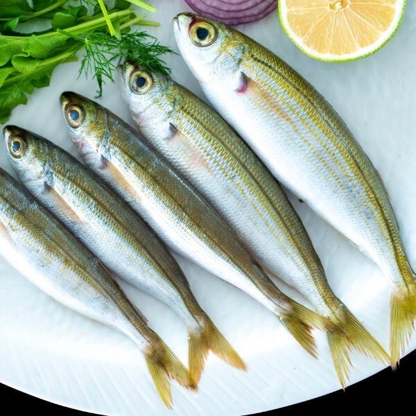 Kopez Tava (500 gr)