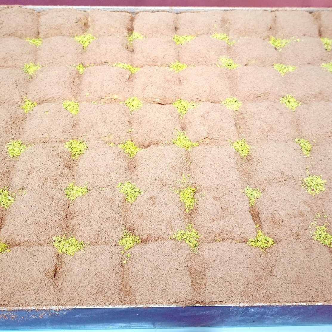 Fıstıklı Soğuk Baklava (250 g)