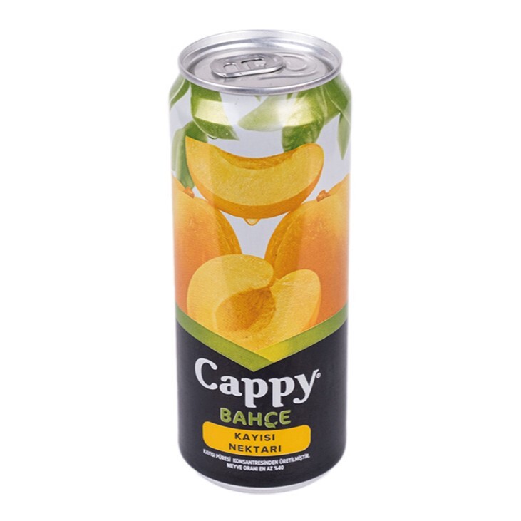 Cappy Meyve Suyu Kayısı (300 ml)