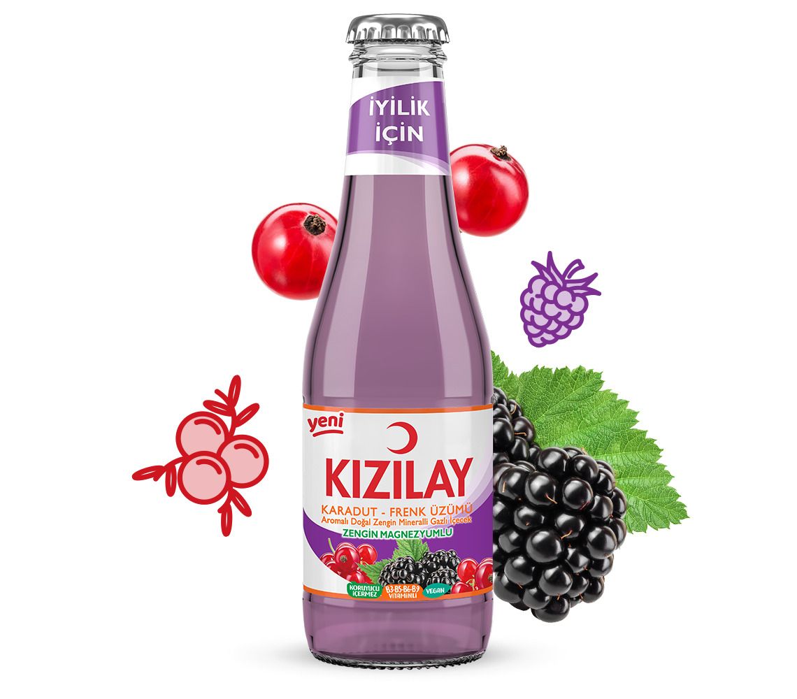 Kızılay Karadut-Frenk Üzümü