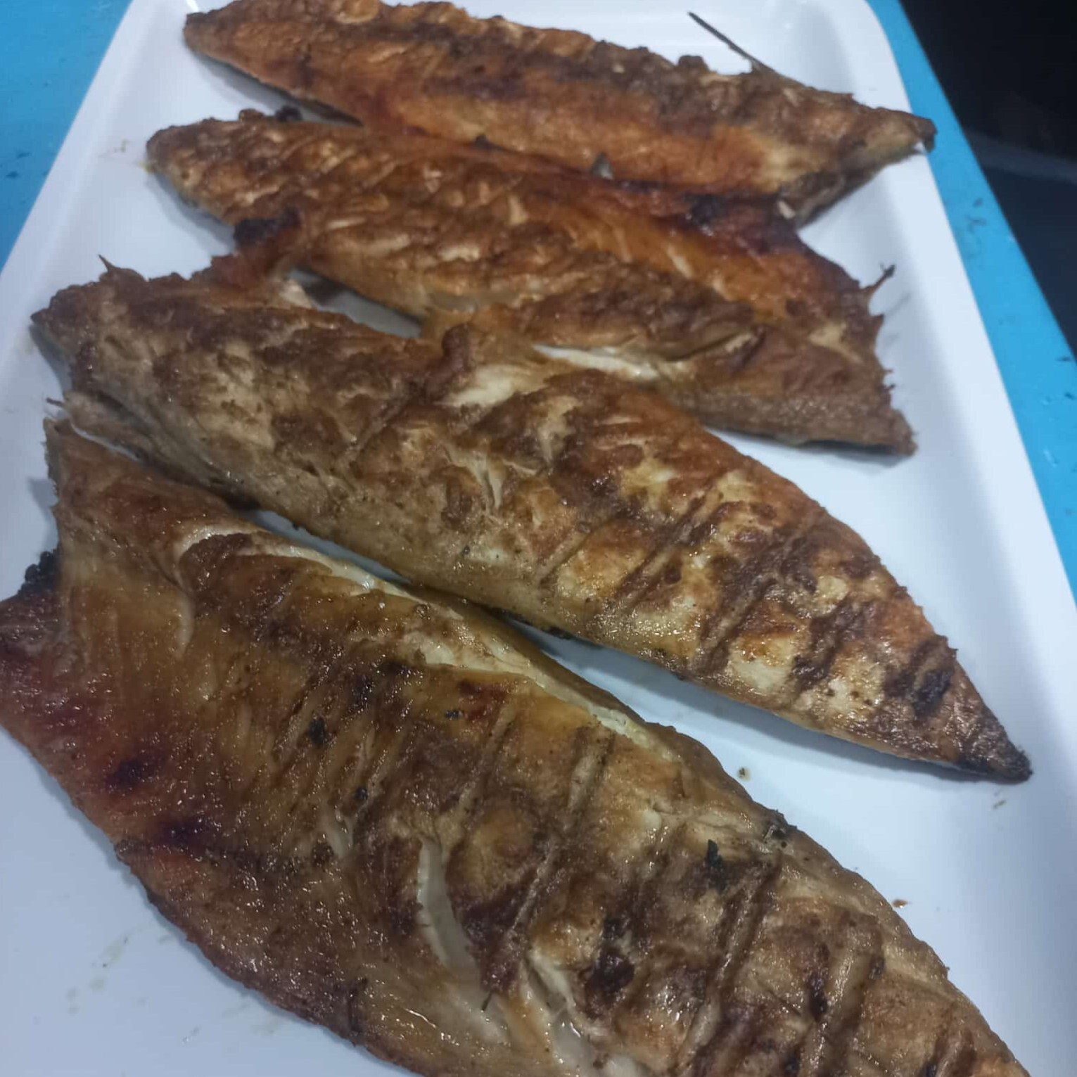 Yerli Palamut(çiğ)
