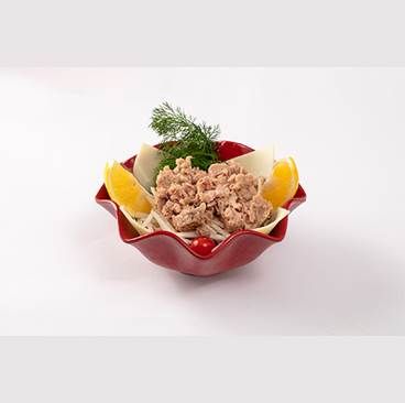 Ton Balıklı Salata