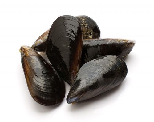 Midye Dolma (10 adet)