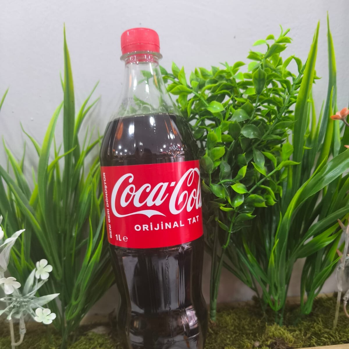 Coca-Cola (1 L.)