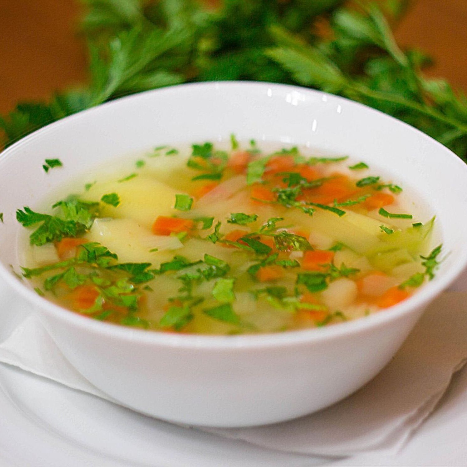 Tandoori Special Soup