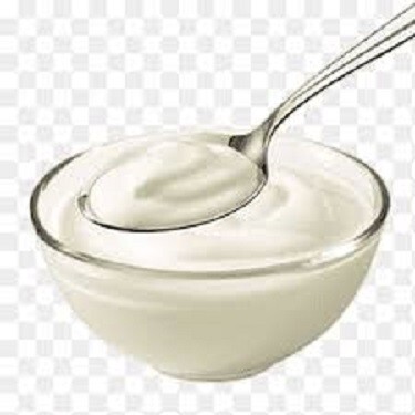 Yoğurt