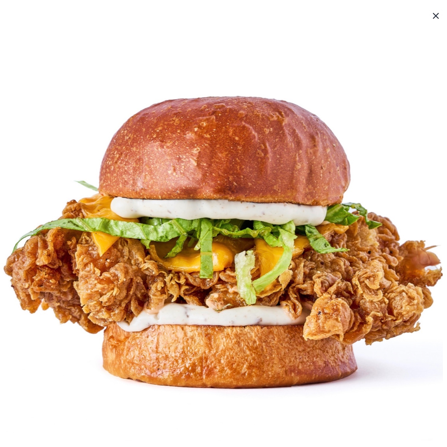 Elite Crunch Chicken Burger
