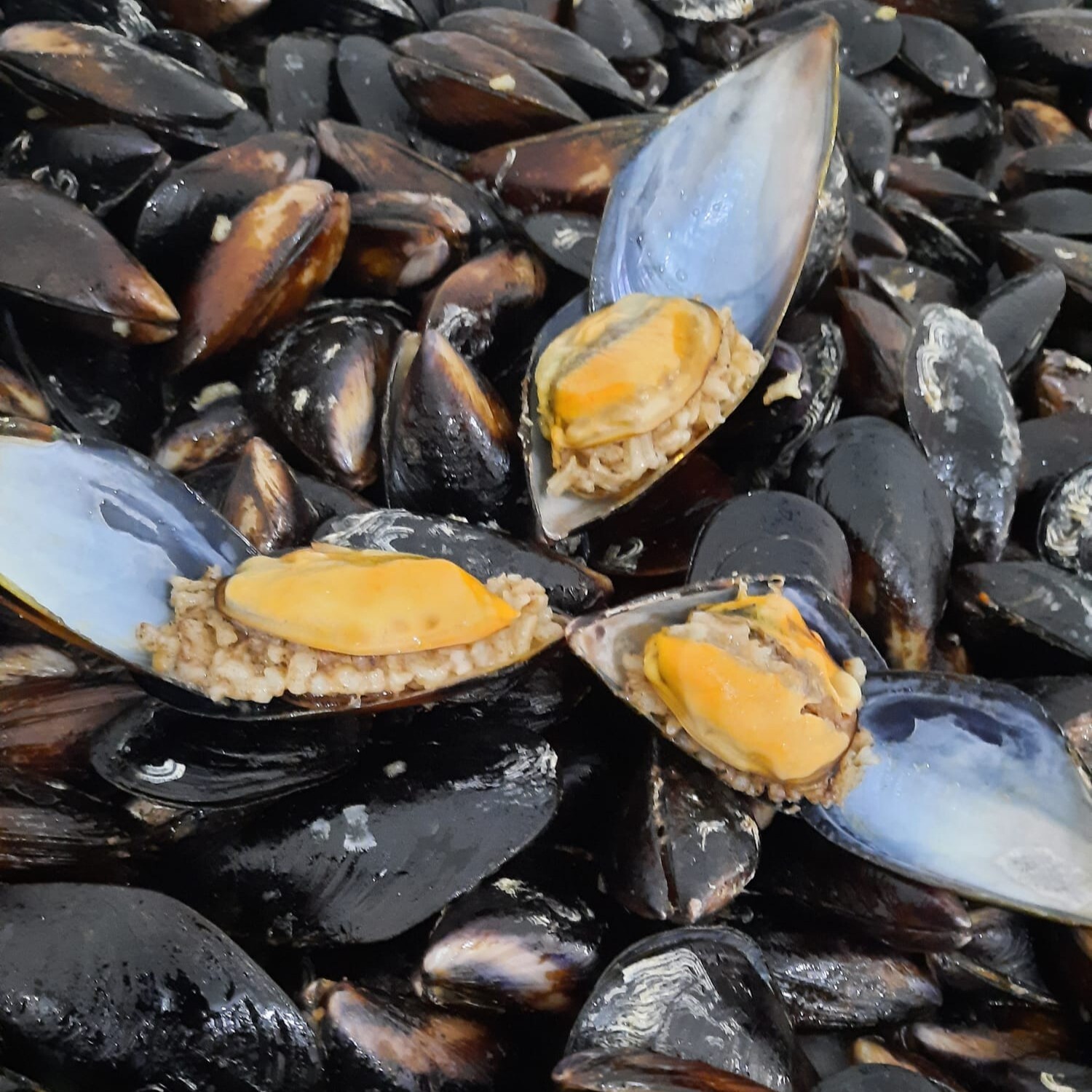 40 Adet Sıcak Çiftlik Midye Dolma