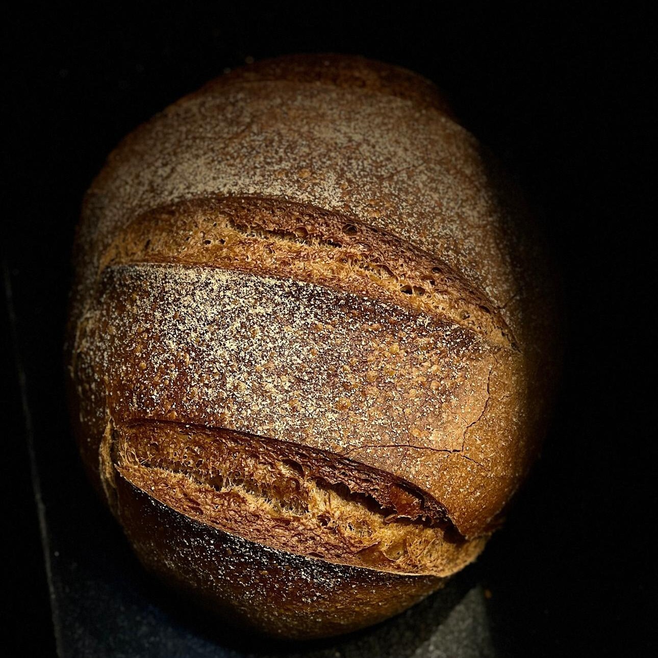 Alman Çavdarı 550-600 Gr