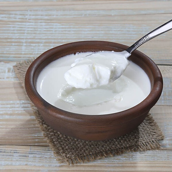 Yoğurt