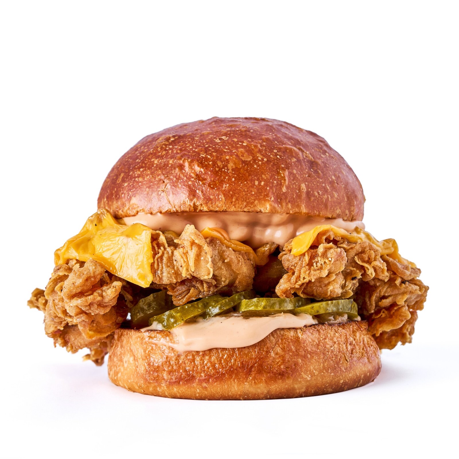 Basic Tavuk Burger