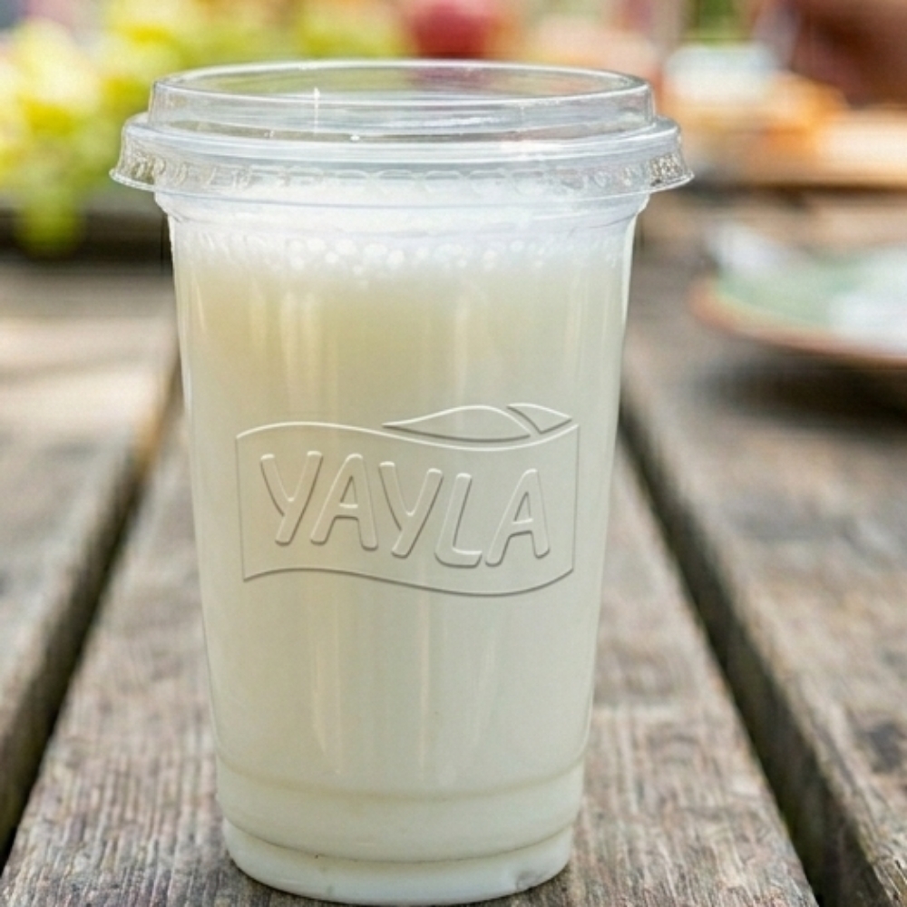Ayran 170 Ml
