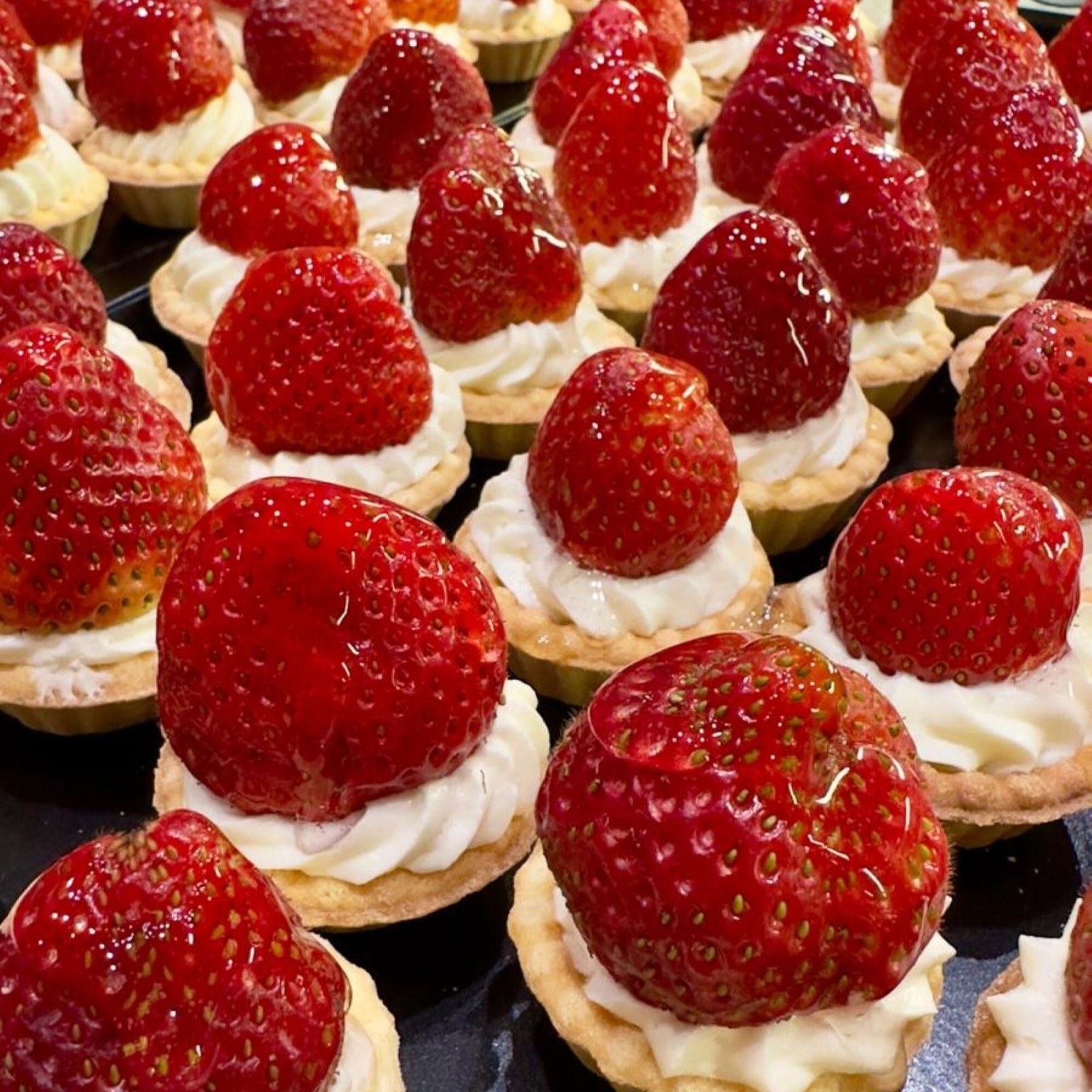 Tartolet Kg