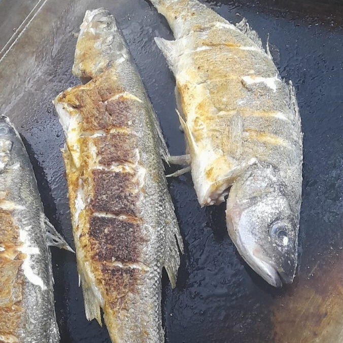 Porsiyon Levrek 400 gr arası