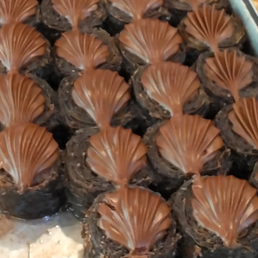 Çikolatalı Baklava (250 gr)