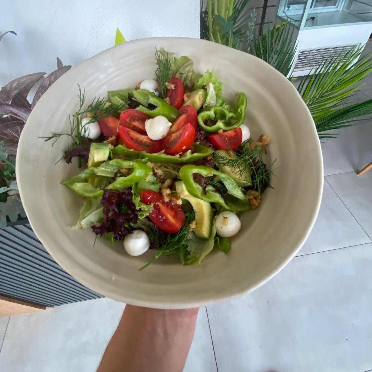 Avokadolu Taze Mozzarella Salatası