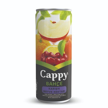 Cappy Karışık (250ml)