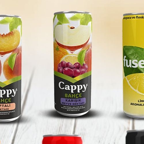 Karışık Cappy (330 ml)