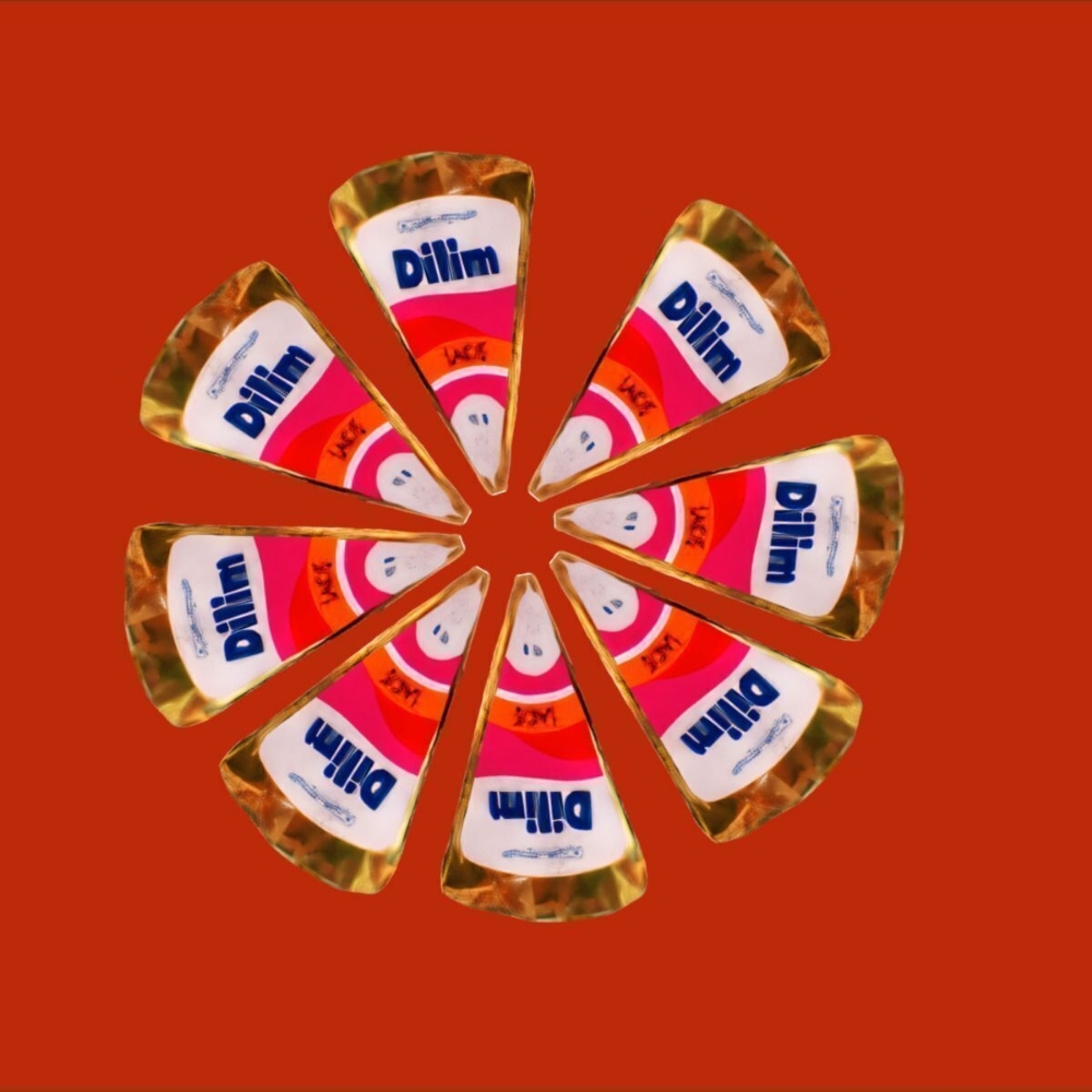 SÜTER DİLİM ÜÇGEN PEYNİRİ