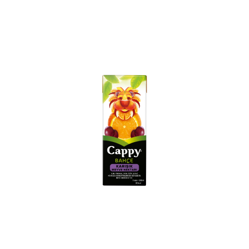 Cappy Karışık (20 cl.)