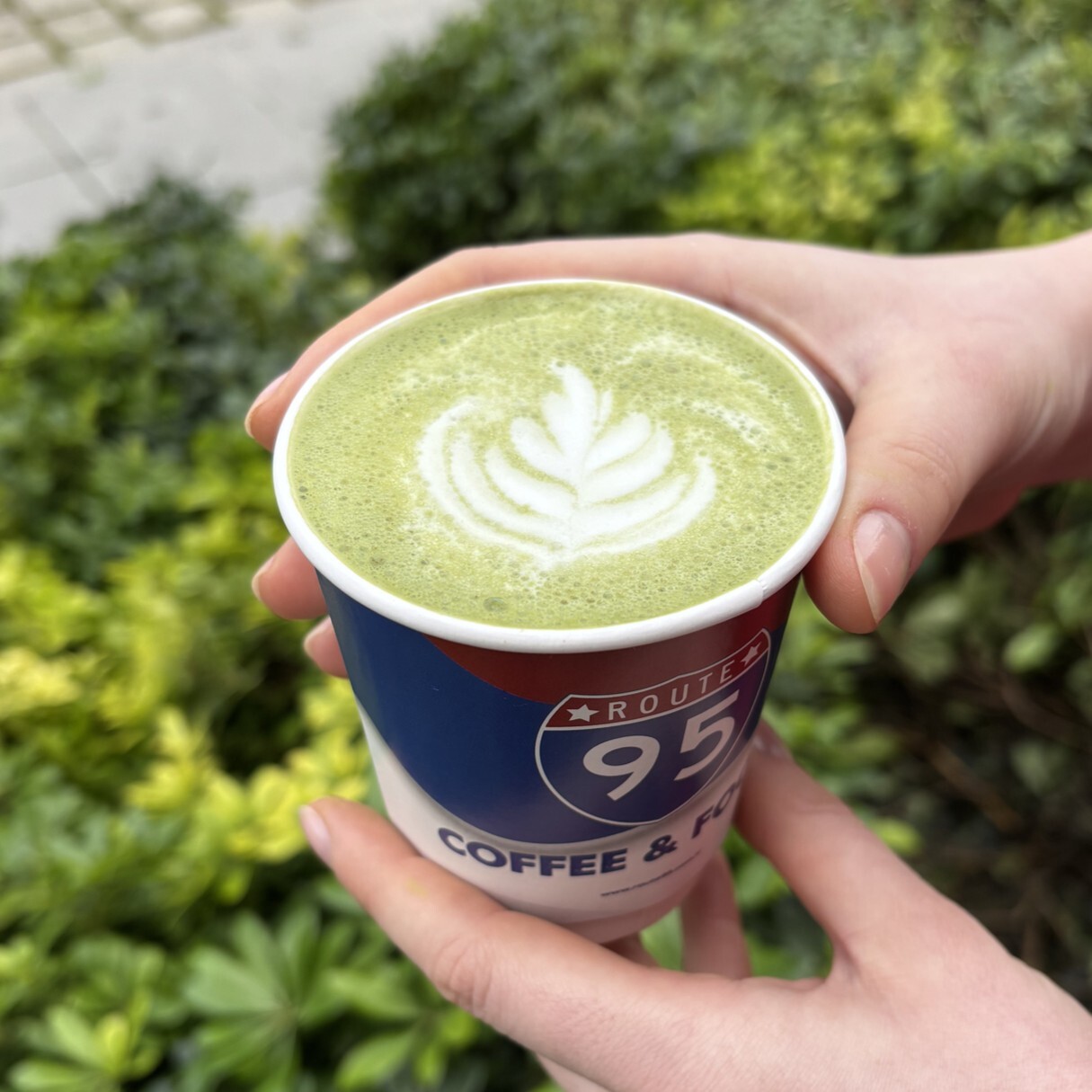 Matcha Latte (8 Oz.)